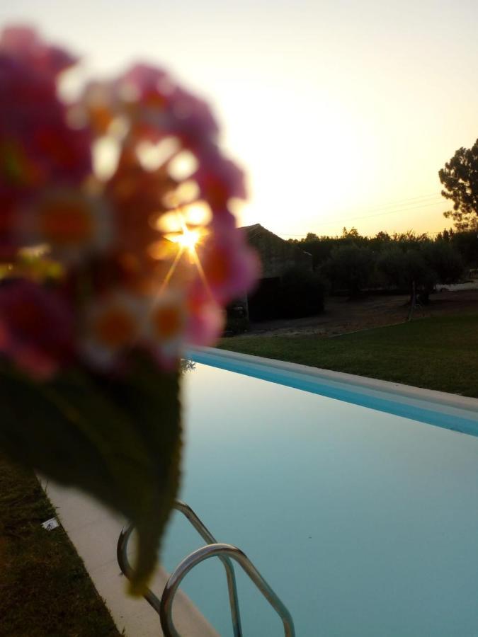 Adobe Typical Cottage Alpalhao  Εξωτερικό φωτογραφία