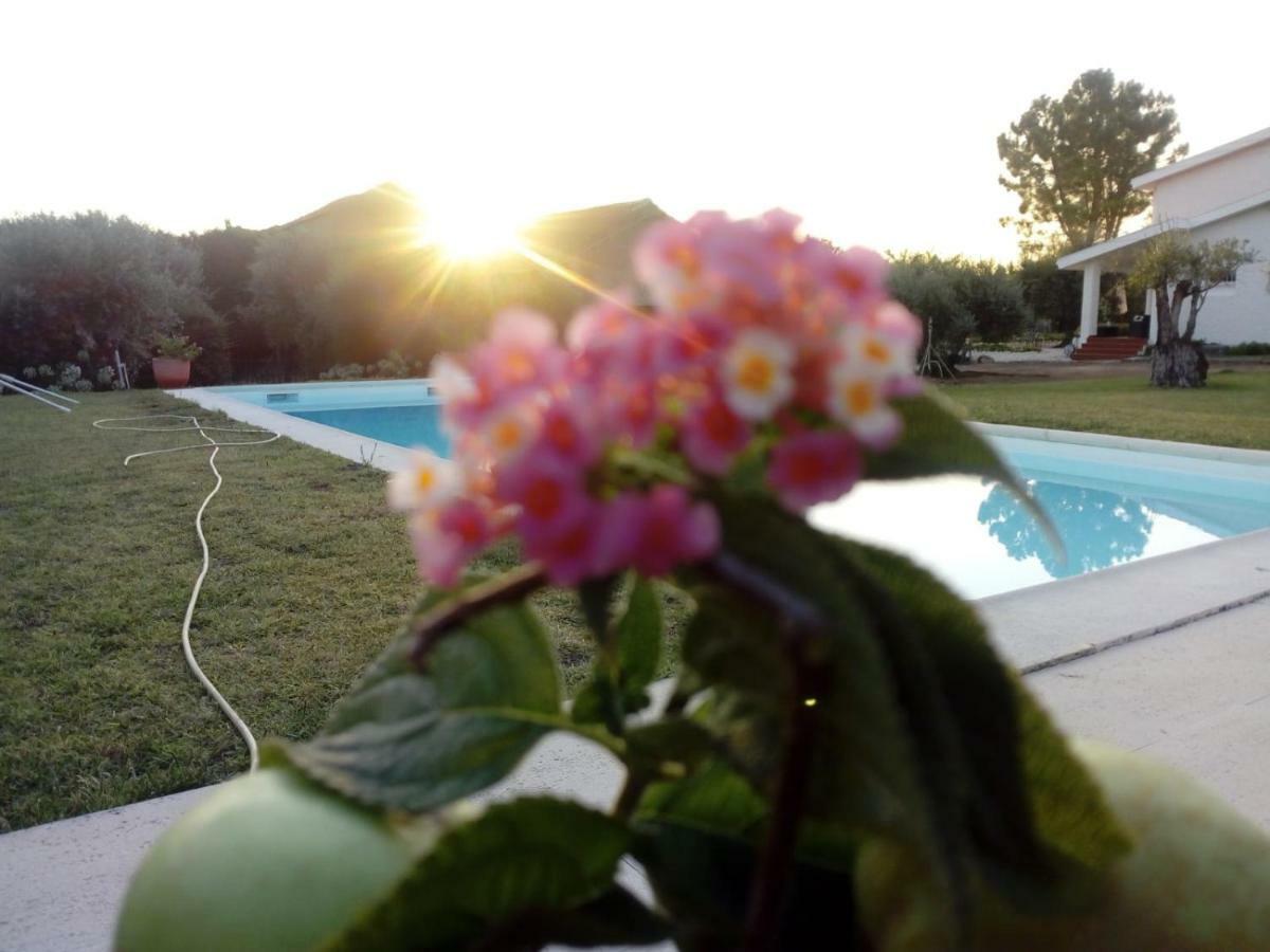 Adobe Typical Cottage Alpalhao  Εξωτερικό φωτογραφία