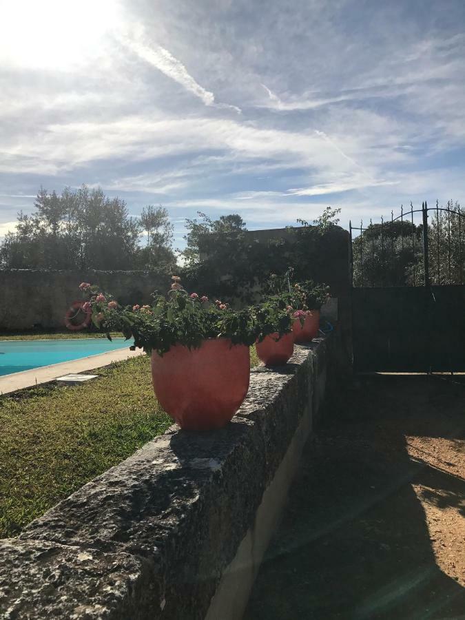 Adobe Typical Cottage Alpalhao  Εξωτερικό φωτογραφία